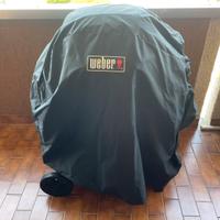 Barbecue Weber Pulse 2000