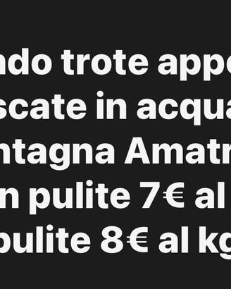 Trote