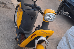 Askoll es2 elettrico