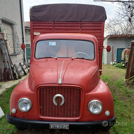 Carro FIAT 615 n1 trasporto bestiame anno 1963