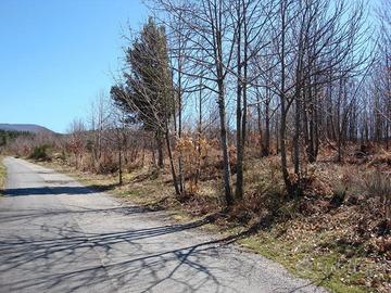 Terreno agricolo in Aspromonte
