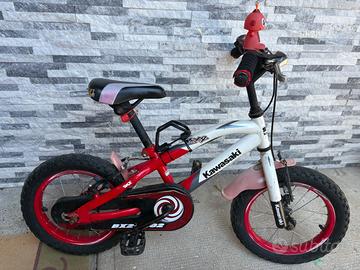 Bicicletta Kawasaki R14