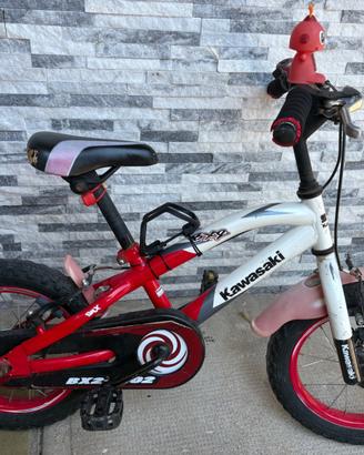 Bicicletta Kawasaki R14