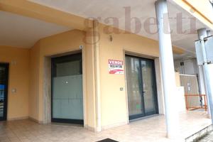 Negozio Copertino [COA 126ACG]