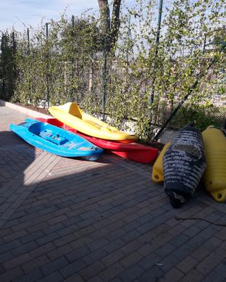 Canoe singola e/o doppia