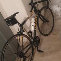 Bicicletta da corsa wilier triestina 