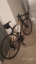 Bicicletta da corsa wilier triestina 