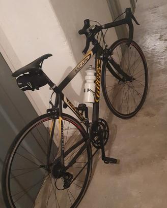 Bicicletta da corsa wilier triestina 