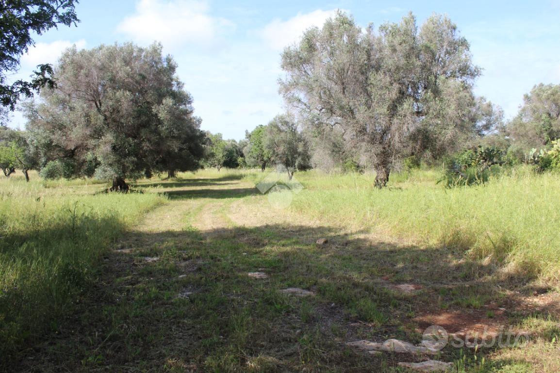 RUSTICO A CAROVIGNO - Vista 3