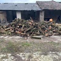 Legna da ardere tronchi