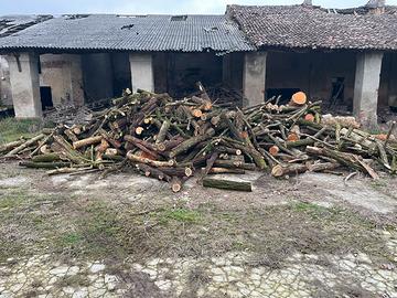 Legna da ardere tronchi
