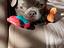 Immagine 1