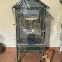 Voliera per inseparabili