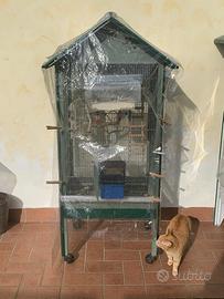 Voliera per inseparabili