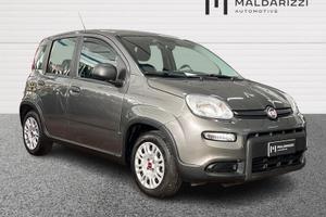 FIAT Panda III 2021 1.0 firefly hybrid s&s 70...