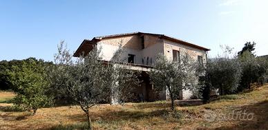 FABBRICATO TERRENO ULIVETO-4km da San Giorgio a L