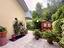 Immagine 14