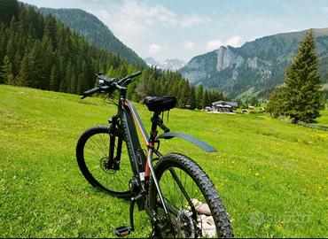 2 bici e-bike