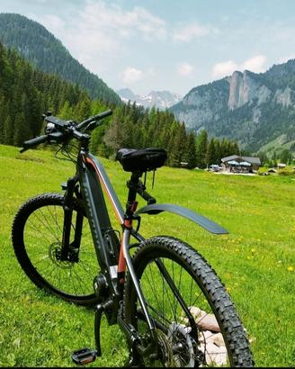 2 bici e-bike