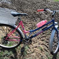Bicicletta