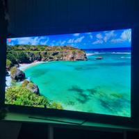 TV LG SMART OLED 55"