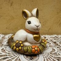 Thun coniglio bianco