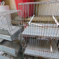 gabbia a colonna
