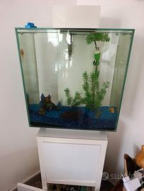 Acquario 