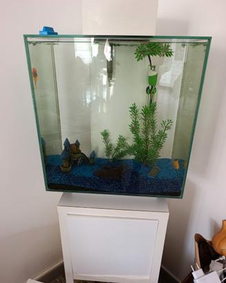 Acquario 