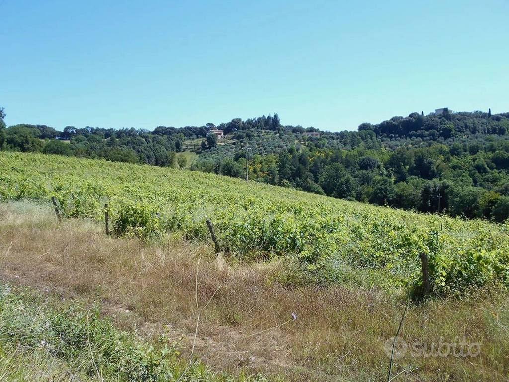 Immobile in asta di 357673 m² a Siena - Altro