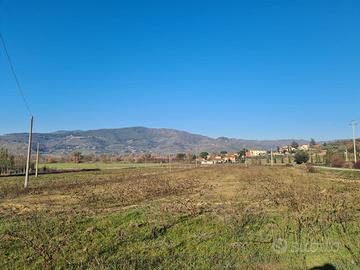 Terreno agricolo 1 ettaro e mezzo