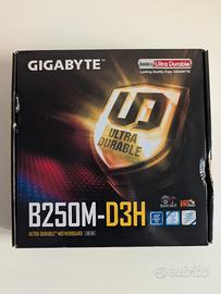 Scheda Madre Gigabyte B250M-D3H