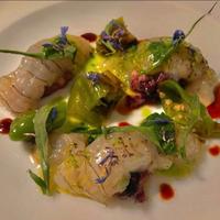 Aiuto Cuoco/Pasticceria/Gelateria/Panetteria