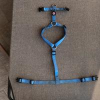 Pettorina per cani Pet Around