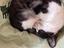 Immagine 2