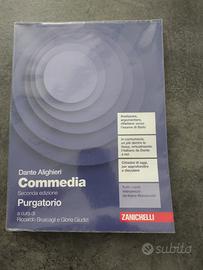 DIVINA COMMEDIA -PURGATORIO