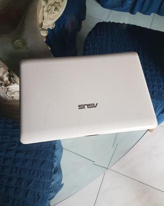 Netbook Asus 1005P Display 10.1 