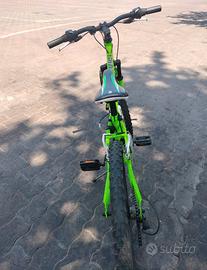 Bicicletta 24 VeloMarche