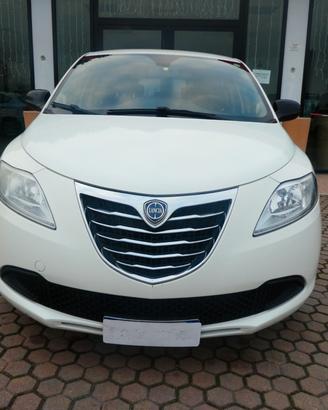 Lancia Ypsilon 1.3 MJT 16V 95 CV 5 porte OK NEOPAT