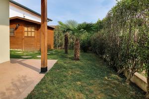 Appartamento piano terra