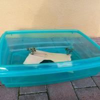 Vaschetta per tartarughe  d acqua