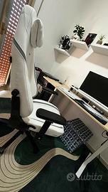 Sedia ergonomica