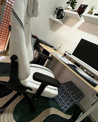 Sedia ergonomica
