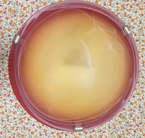 Plafoniera diametro 30 cm