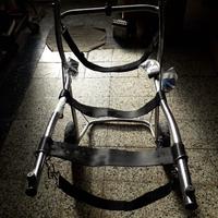 carrello per cani con disabilità 