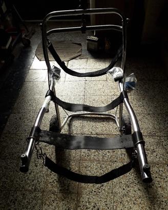 carrello per cani con disabilità 