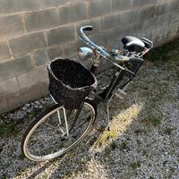 Bicicletta donna freni a bacchetta