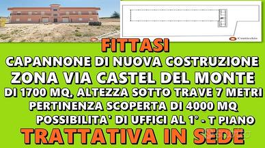 Capannone Industriale con pertinenza esterna