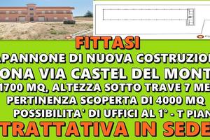 Capannone Industriale con pertinenza esterna