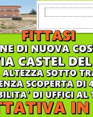 Capannone Industriale con pertinenza esterna